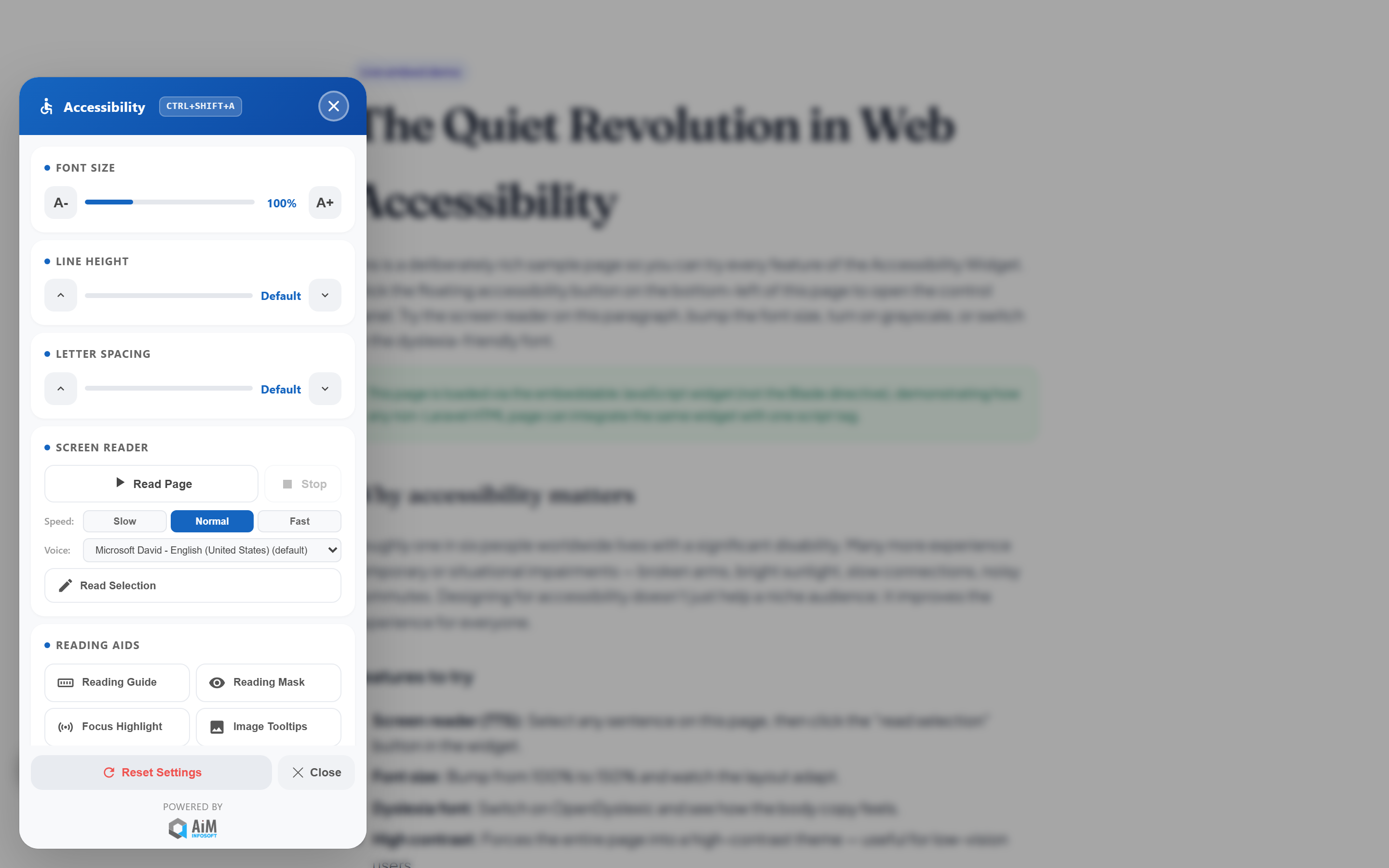 Accessibility widget loaded on a static HTML demo page via a single script tag with a per-domain API key, rendered inside an isolated Shadow DOM.